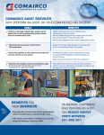 Audit services